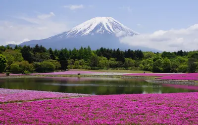 Mount Fuji